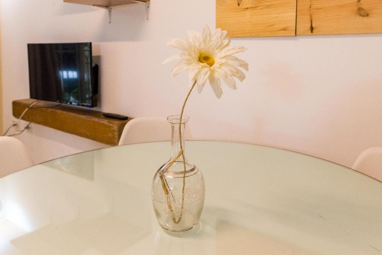 Apartment Gr0-quiet Apartment, Private Backyard, Walk To Old Town