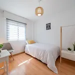 Historic City Centre - Premium
