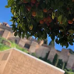 DL Patio Málaga - PicassoCityCentreApartments managed property