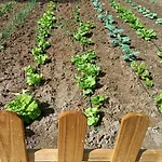 Tottam Art & Healthy Garden
