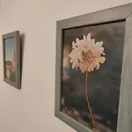 S&J Apartment