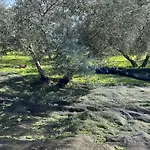 Casa Con Piscina Privada Bajo El Torcal