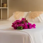 Apartamentos Ollerias