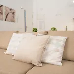 Santiago Premium Loft Malaga