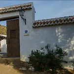 House In Malaga 101912