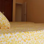 Renovado y muy cerca del centro urbano