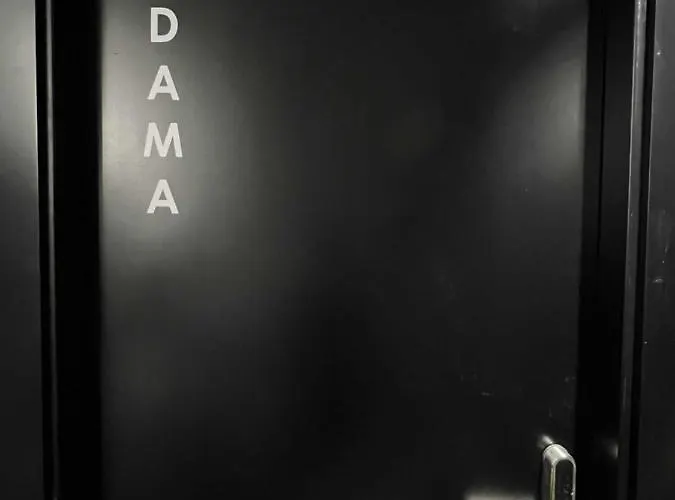 Dama modern y luxury