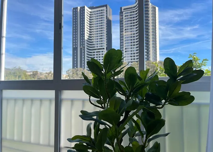 Sur Suites Malaga