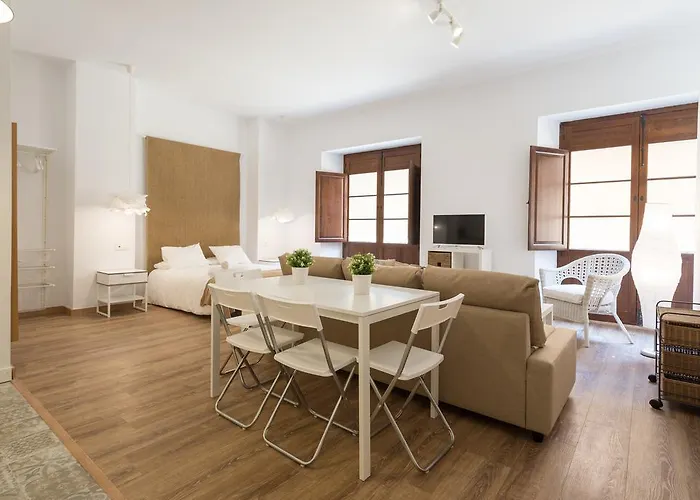Santiago Premium Loft Malaga