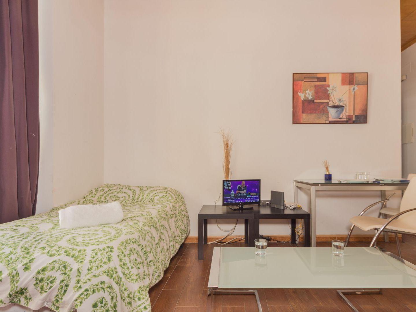 Apartamento Carreteria Loft Málaga