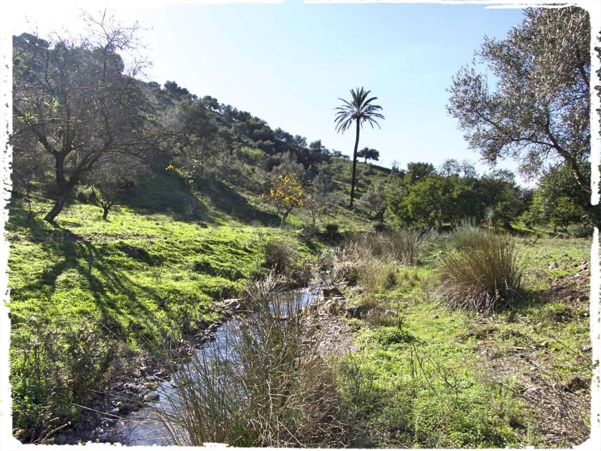 Сasa de vacaciones Cortijo Casas Viejas Málaga