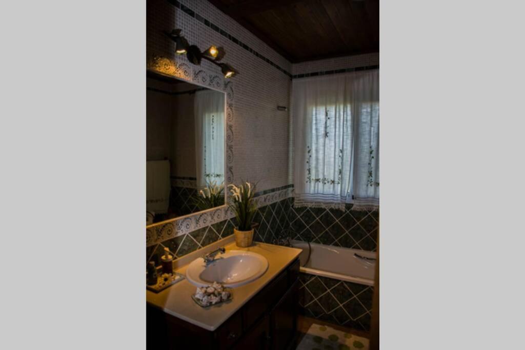 Teresa Holiday home Malaga