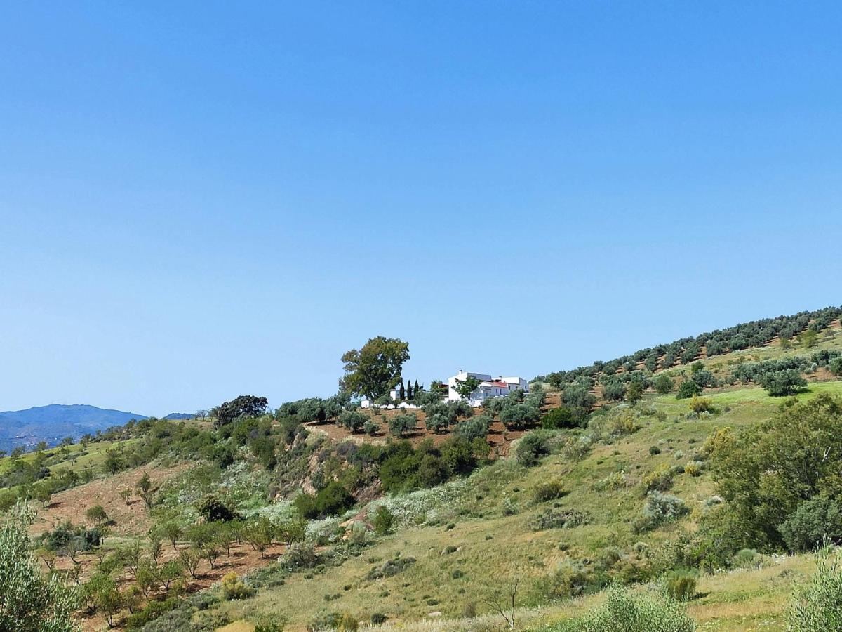 Cortijo El Tunante