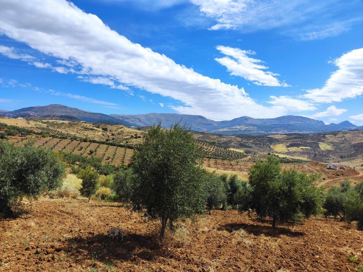 Cortijo El Tunante Málaga