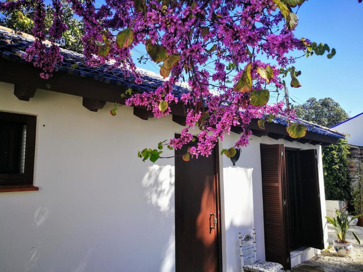El Jardín De Azahar Pensión *