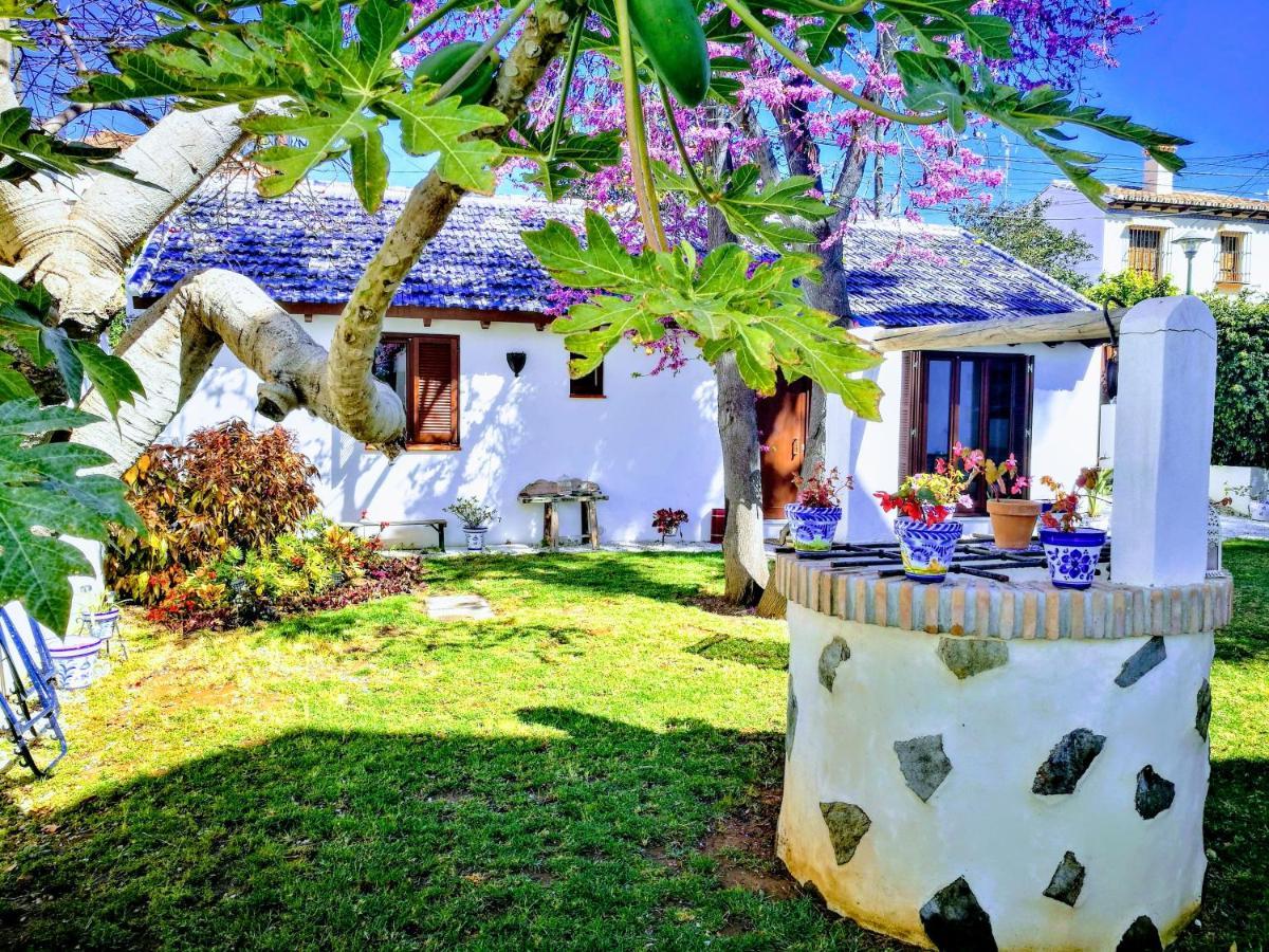 El Jardín De Azahar Pensión *