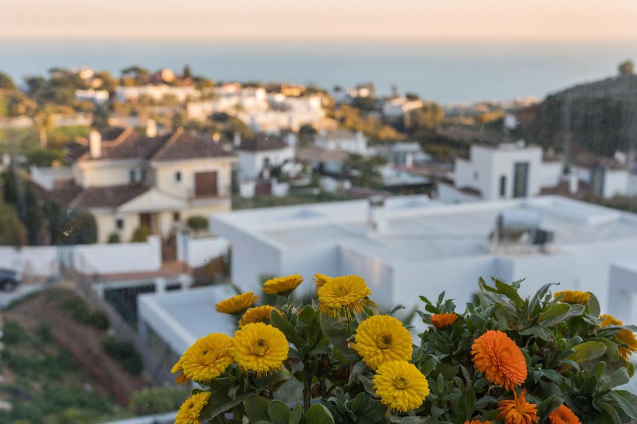 Blankko Málaga