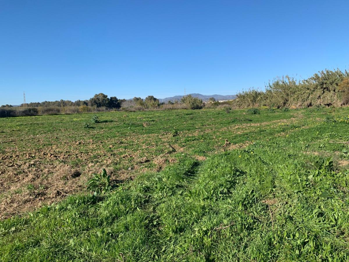 Antigua Estación De Campanillas Málaga