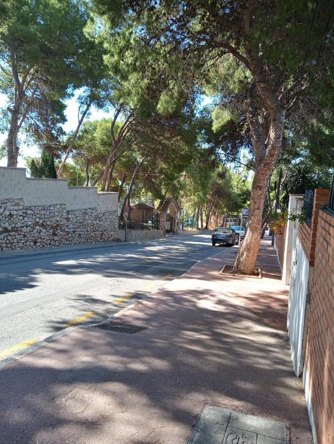 Apartment Entrepinares Malaga