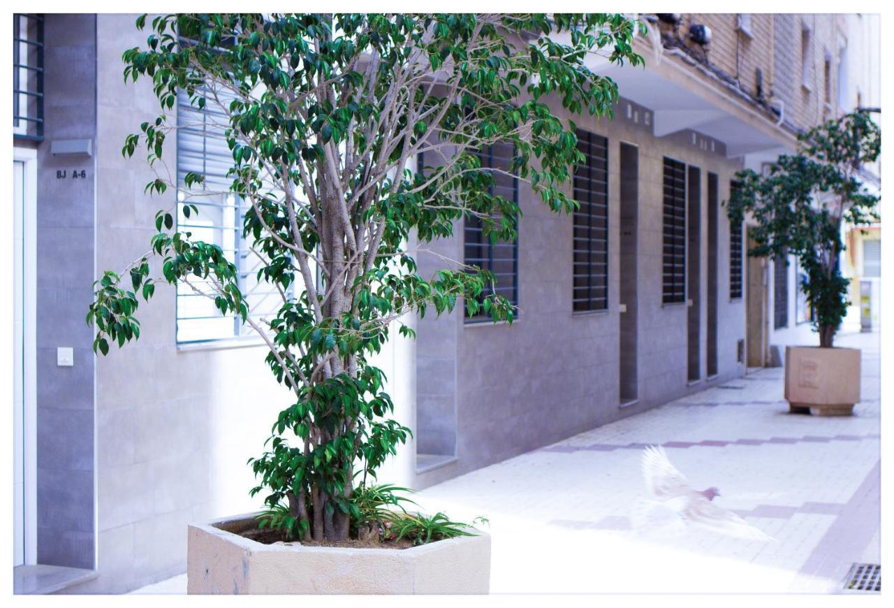 Estación-centro Vialia 3 Apartamento *