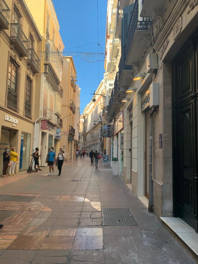 Apto Calle Nueva Centro