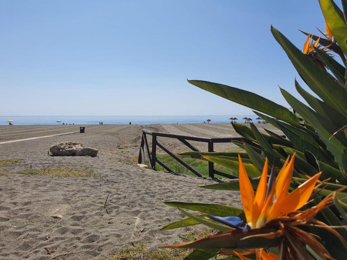 Boutique Near The Beach, 1 Gbps Wi-fi Apartamento