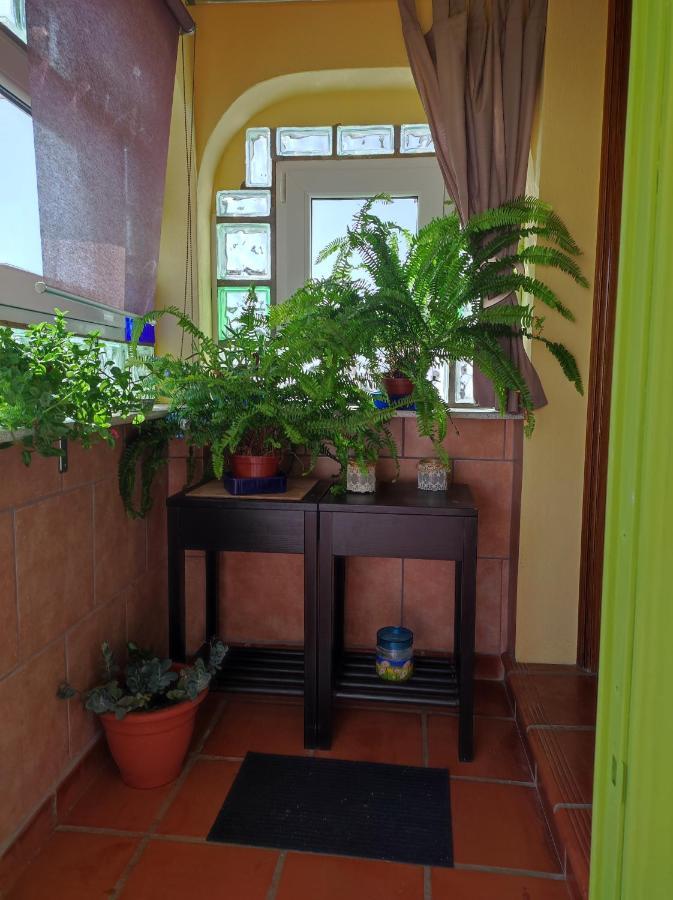 Apartamento Naturalmente Torrox Park *
