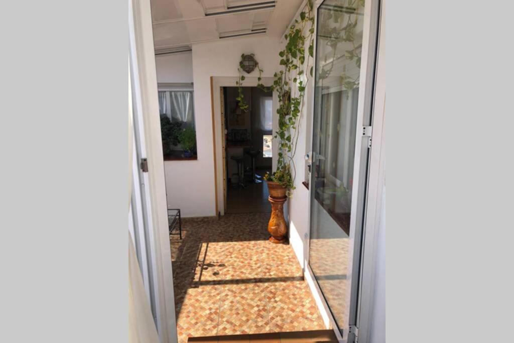 Apartamento Atico Centro - 657452250 *
