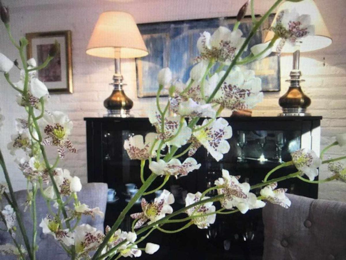 Luxury Old Town Tu Casa En Cervantes Brisas De Mar Y Vino Apartamento *