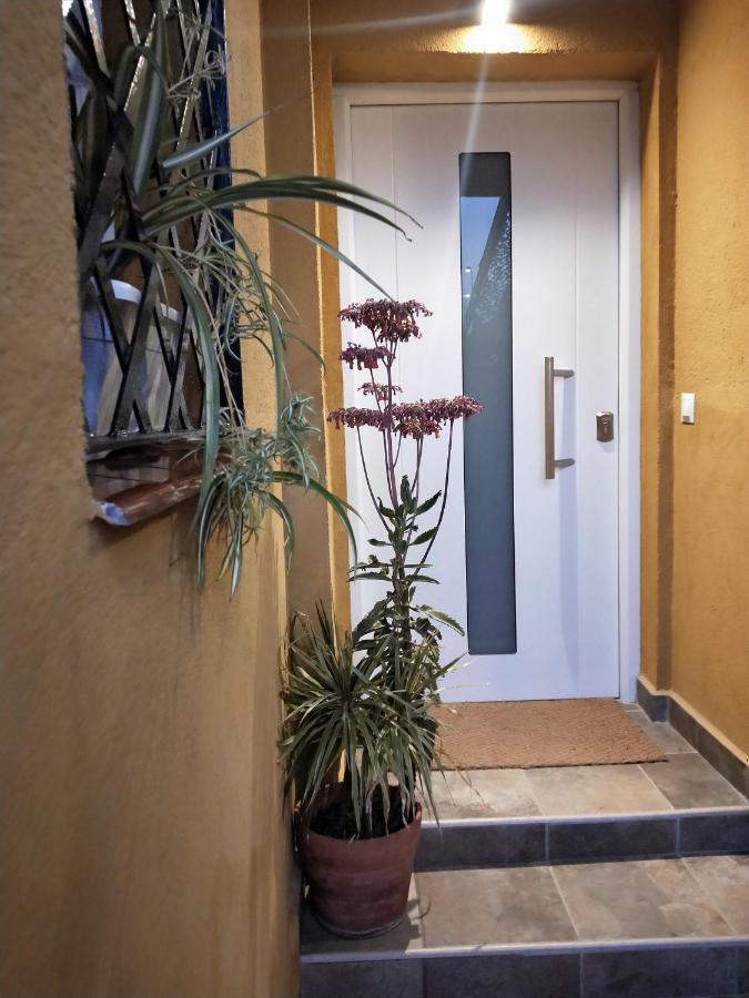 Dudi's Peppers Bed and breakfast Málaga
