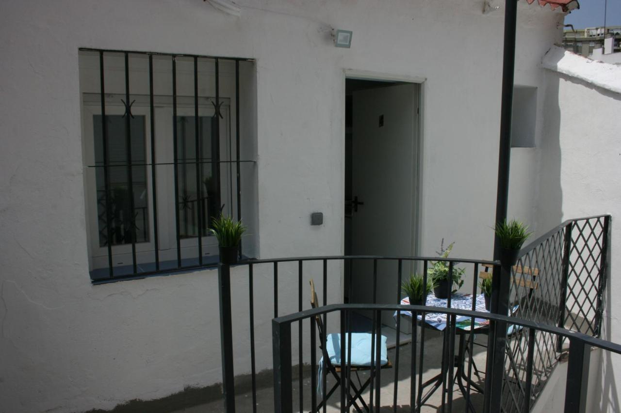 Malaguena Salerosa 