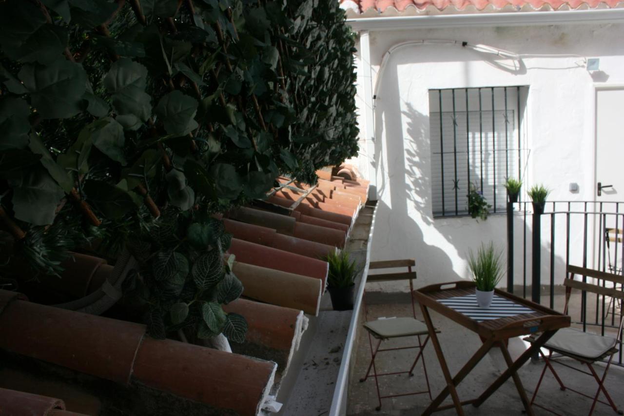 Malaguena Salerosa 