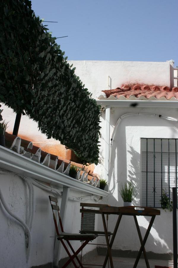 Malaguena Salerosa 