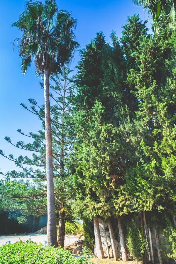 Apartamento Espaciosa En Mijas Costa Para 10 Personas *