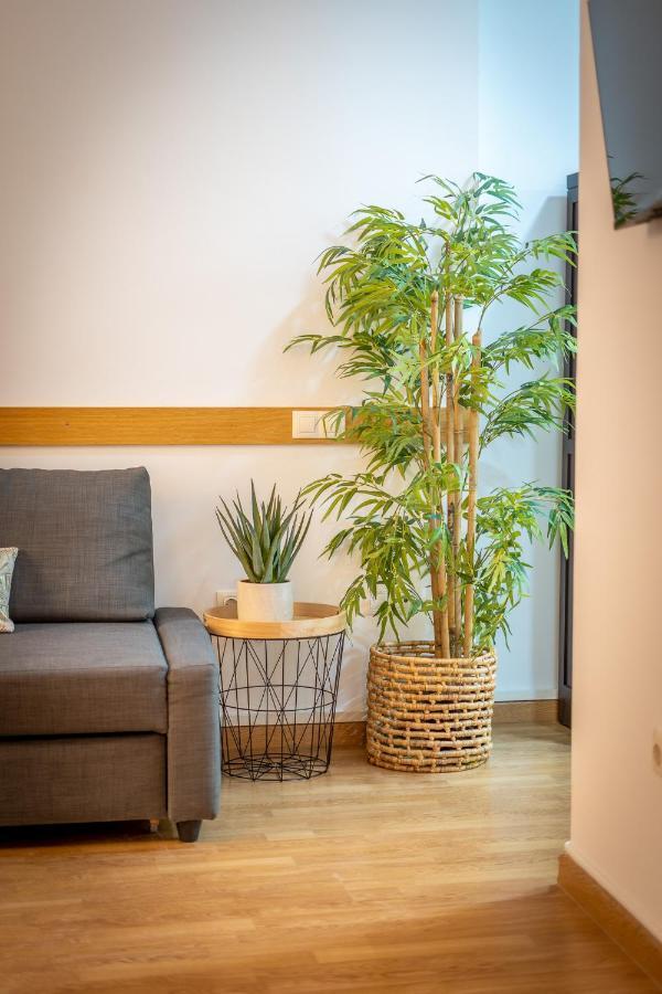 Historic Centre Mitjana Apartment