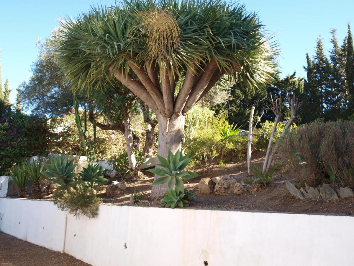 Holiday home Acogedora Y Amplia Con Piscina