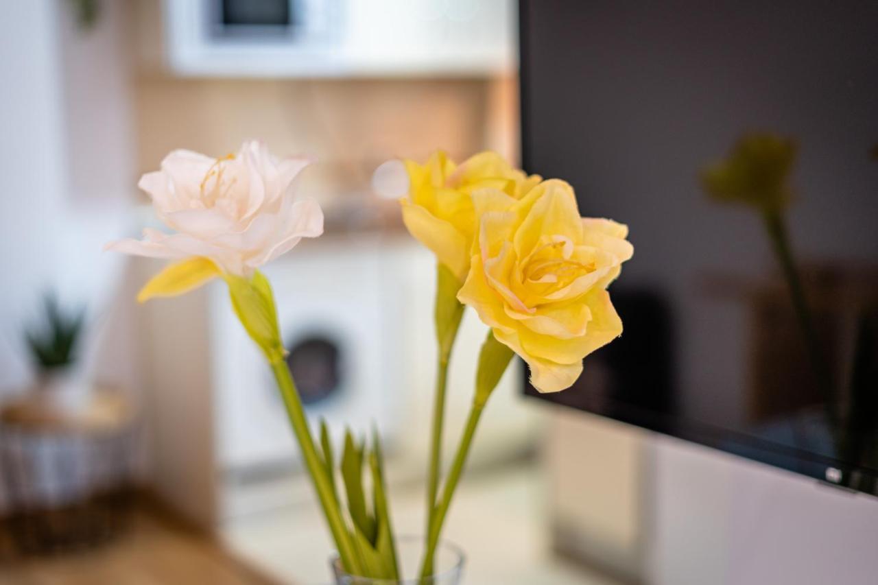 Historic Centre Mitjana Apartment Malaga