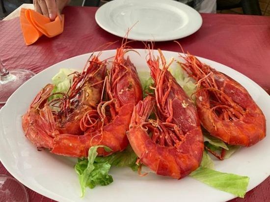 ático Cerca Del Mar Apartamento *