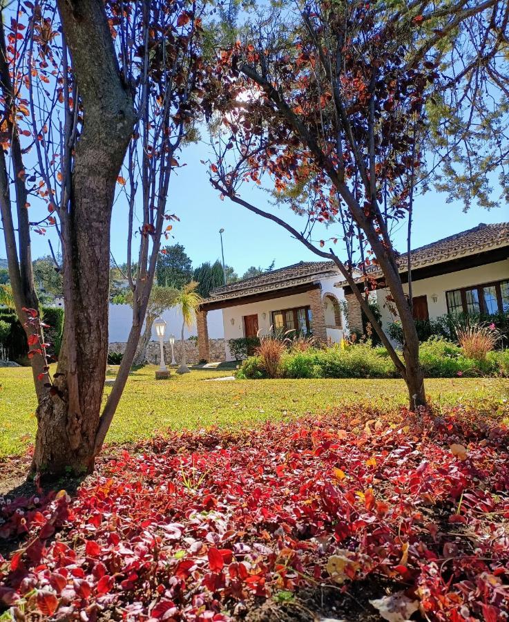 Tottam Art & Healthy Garden Lodge Málaga