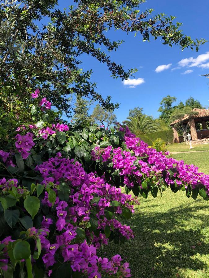 Lodge Tottam Art & Healthy Garden *