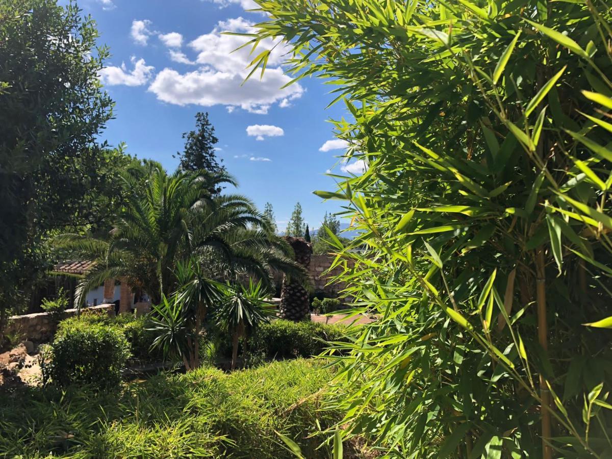 Tottam Art & Healthy Garden