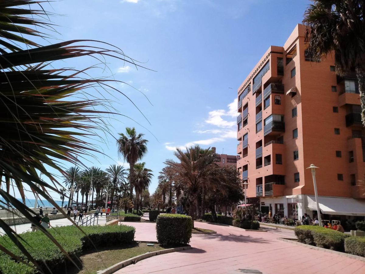 Pacifico 3 *