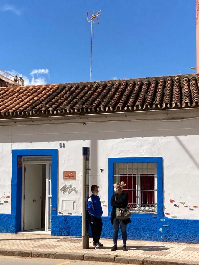 Malaguena Salerosa 