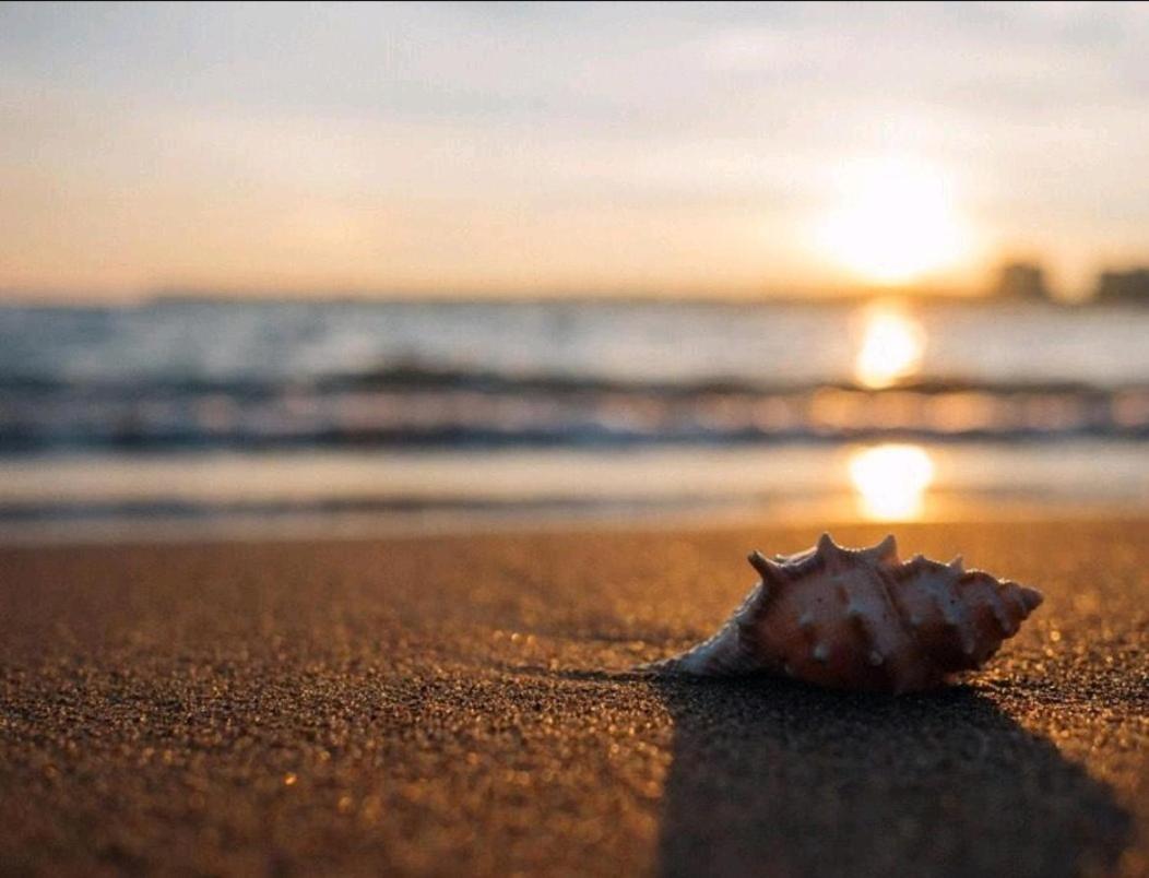 Huelin House Beach&sun Apartamento *