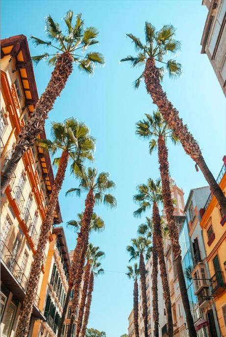 Apartamento Duplex Chillout Centro Histórico Málaga