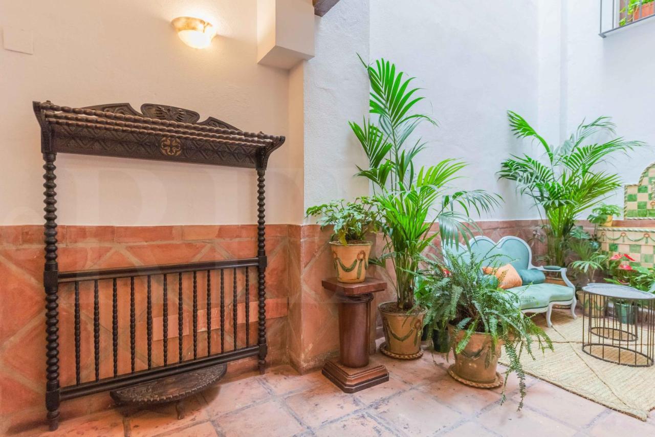 Apartment Penthouse & Private Rooftop In The Heart Of By Rems Malaga
