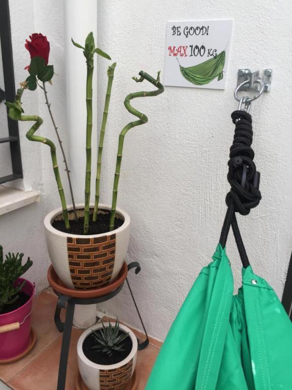 Guantanamera Eco-friendly Roomalaga By Bossh! Malaga