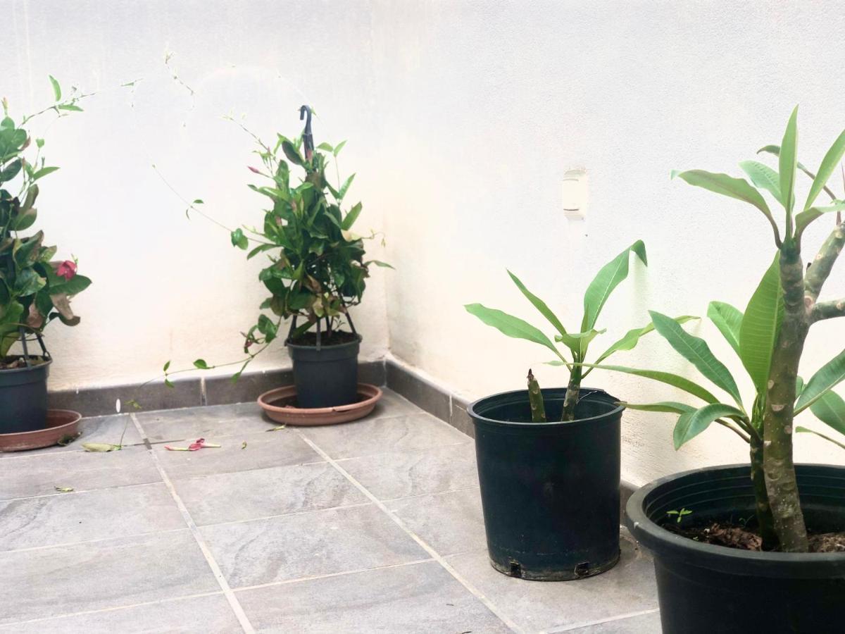 Apartamento Varela B