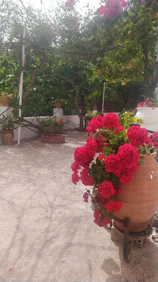Сasa de vacaciones El Castillo *