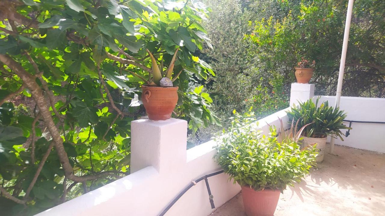 Сasa de vacaciones El Castillo *
